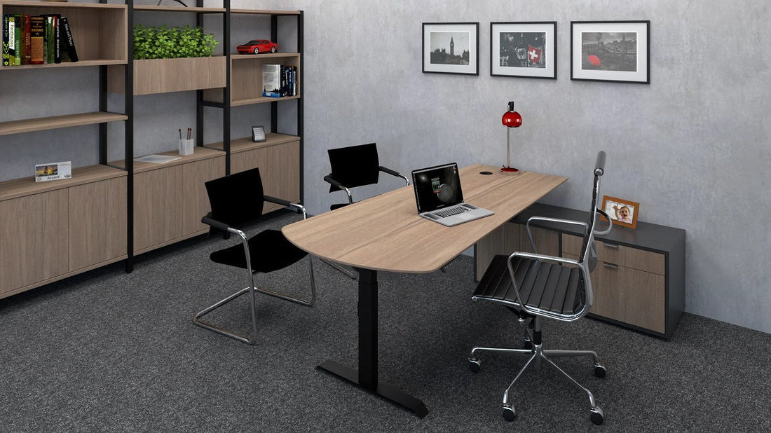 What Type of Office Chair is Best for Your Back?