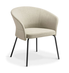 Clove Office Tub Chair-Reception-visitor Tub chair-two bases-three colour options