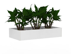 Cubit planter Box- white only- plants not included