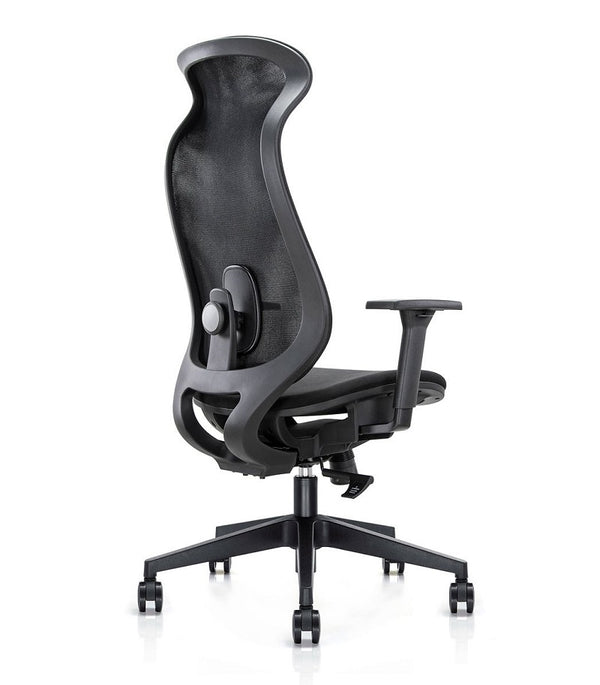 Cygnet contoured mesh back meeting chair with arms- full body support-lumber support