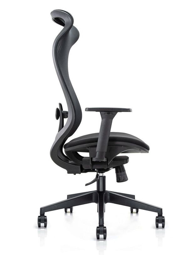 Cygnet contoured mesh back meeting chair with arms- full body support-lumber support