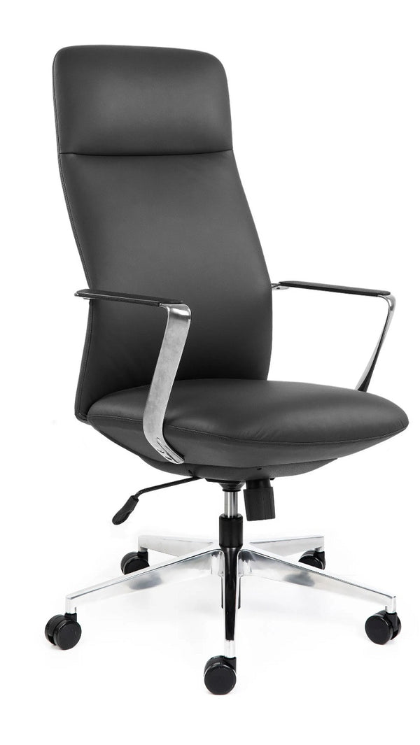 Director leather High back executive chair with arms- Black & Tan leather options