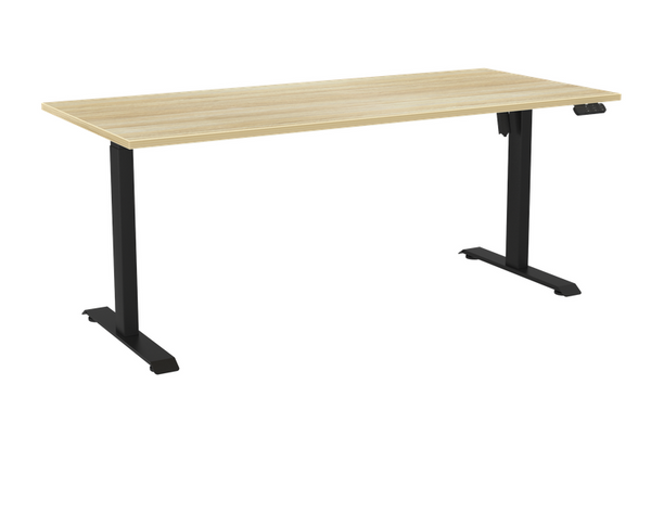 Haven Boost electric Desk-Sit to standing desk-15 year warranty- free bluetooth upgrade