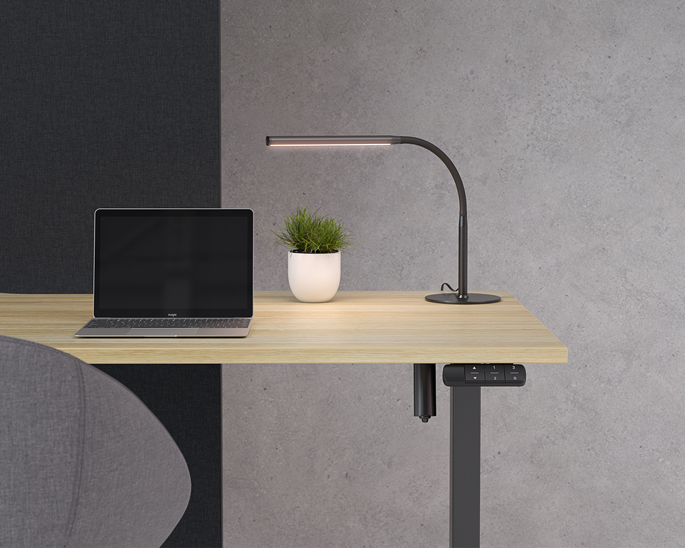Computer & Office Desks