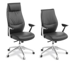Domain leather chair High & Mid back chairs