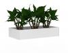 Cubit Planter box- white with plants.
