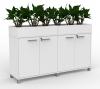 Cubit Planter box-2 x 900 wide on 1800 wide Credenza.
