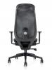Cygnet contoured mesh chair back view 1.