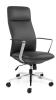 Director High back leather executive chair-Black 
