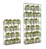 Planter wall -1100 & 2000 high- with Pots and Plants.